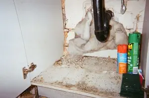 Under my sink live some mice - Randy Photovoice